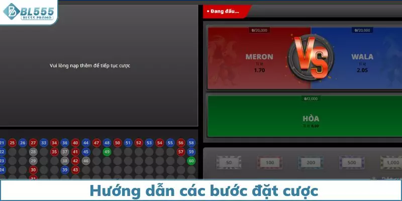 Hướng dẫn người chơi các bước đặt cược cơ bản