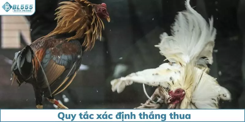 Quy tắc xác định thắng thua cần nắm khi tham gia